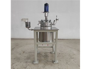 1L高溫高壓不銹鋼油浴電加熱實驗釜已完工發(fā)往江西